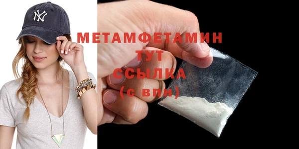 прущие грибы Семилуки