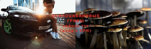 шишки Балабаново