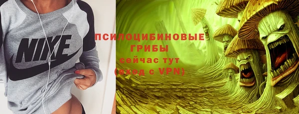 шишки Балабаново