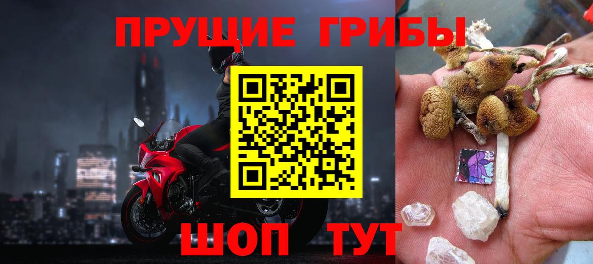 даркнет сайт  Псилоцибиновые грибы ЛСД  Вход с VPN  Белогорск  Галлюциногенные грибы Psilocybe 